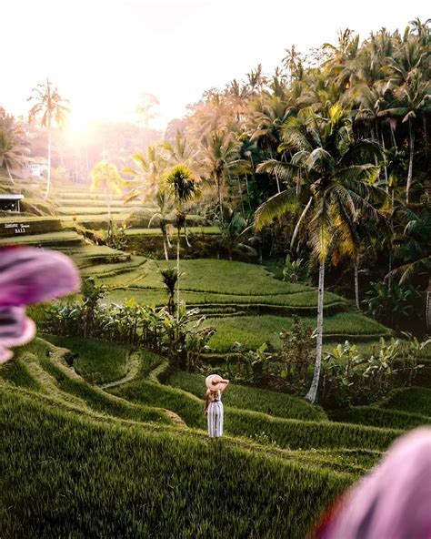 bali ubud property for sale|Tegalalang Rice Terraces Bali {The Ubud Rice Fields You'll.